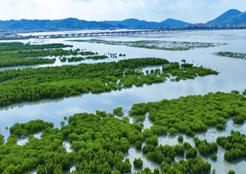 �㶫������̬��ƷĿ¼�嵥ָ��