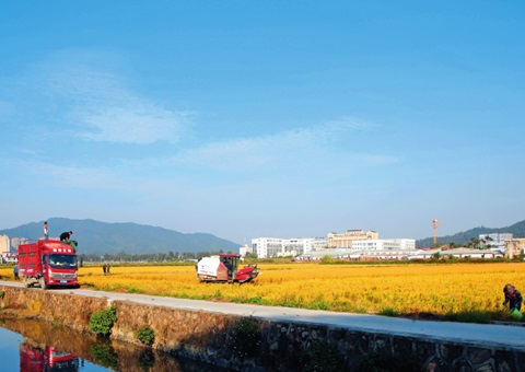 �t�����㶫�����������¶��� ���������÷羰