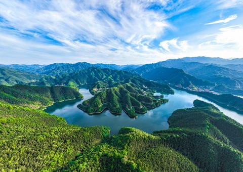 ϴƽȻԴʲȨ湤