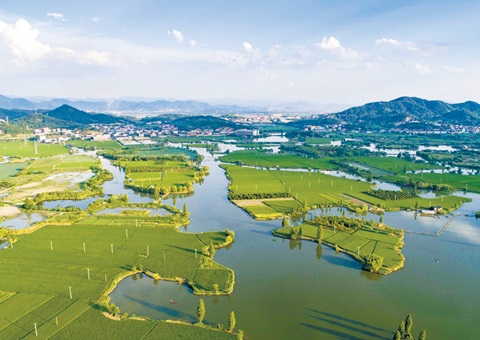 �㽭�������ȫ���׸����ҹ�԰�ʲ�����Ե��ȫʡ�����õ�ʹ��Ȩ״�������������������