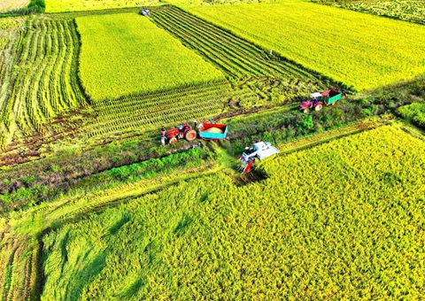 �����ƽ��߱�׼ũ�ｨ�輰�ڶ������سа��������ӳ��Ե㹤��