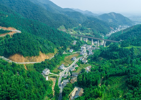 ���γ�500��Ķ����������������Ͷ��196�ڣ�����ʡ2025������22��ȫ�������ۺ�������Ŀ����